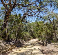 Howes trail - Gold Coast Attractions