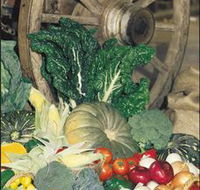 Mulgowie Real Farmers Markets - Gold Coast Attractions