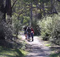 Syd's Rapids and Aboriginal Heritage Trail Avon Valley - Gold Coast Attractions