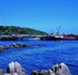 King Island Dairies - Gold Coast Attractions