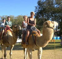 Calamunnda Camel Farm  - Gold Coast Attractions