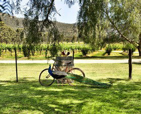 Stomp! Wines - Gold Coast Attractions 3