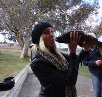 Eucumbene Trout Farm - Gold Coast Attractions