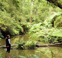 Morwell National Park - Gold Coast Attractions