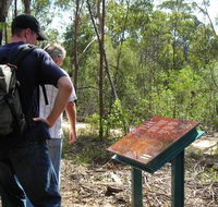 Finchley cultural walk - Gold Coast Attractions