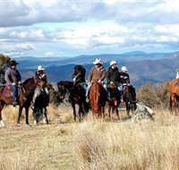 Snowy Wilderness - Gold Coast Attractions