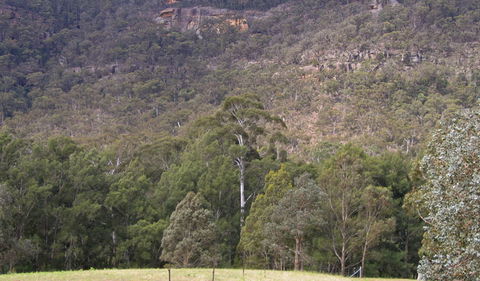 Bangadilly National Park - Gold Coast Attractions 0