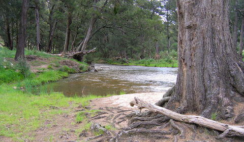 Bangadilly National Park - Gold Coast Attractions 3