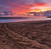 Mon Repos Beach - Gold Coast Attractions