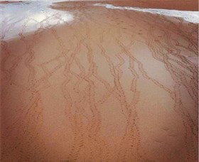 Bargara Beach - Gold Coast Attractions 1