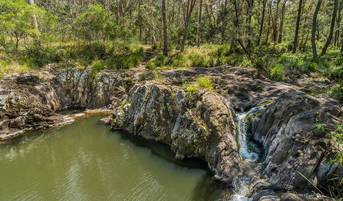 Gorge Walking Track - Gold Coast Attractions 1
