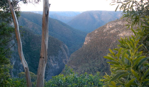 Bungonia National Park - Gold Coast Attractions 1