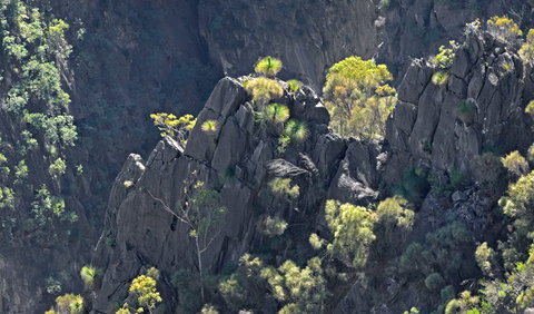 Bungonia National Park - Gold Coast Attractions 2