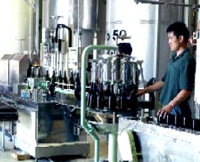 Sun Masamune Sake Brewery - Gold Coast Attractions 2