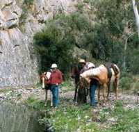 Yarramba Horse Riding - Gold Coast Attractions