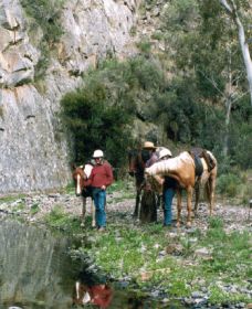 Yarramba Horse Riding - Gold Coast Attractions 0