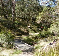 Wollomombi walking track - Gold Coast Attractions