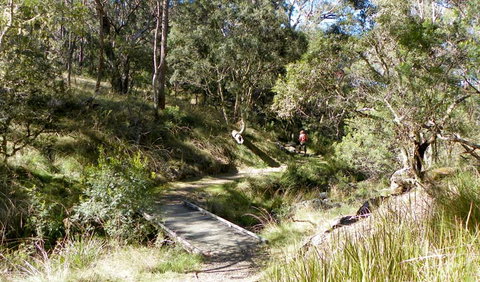 Wollomombi Walking Track - Gold Coast Attractions 0