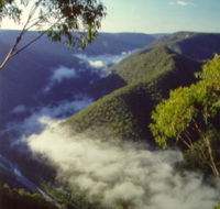Long Point Lookout - Gold Coast Attractions