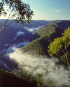 Long Point Lookout - Gold Coast Attractions 0