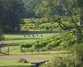 Wollombi Wines - Gold Coast Attractions 8