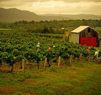Around Hermitage Wine and Food Trail Hunter Valley - Gold Coast Attractions