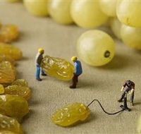 Hunter Valley Wine School - Gold Coast Attractions