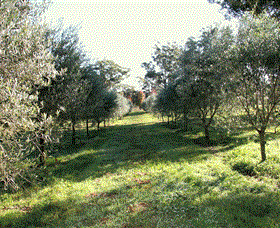 Langdale Farm - Gold Coast Attractions 0