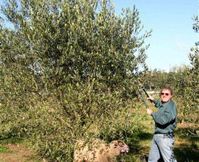 Langdale Farm - Gold Coast Attractions 3