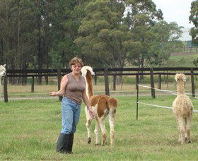 Langdale Farm - Gold Coast Attractions 4