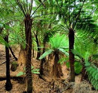 Pegarah Private Nature Reserve  Parenna Place - Gold Coast Attractions