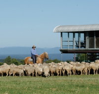 Tobruk Sydney - Gold Coast Attractions