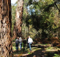 Tallaganda National Park - Gold Coast Attractions