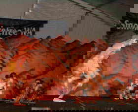 Wadumbah Aboriginal Dance Troupe - Gold Coast Attractions 3