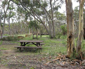 Box Vale Picnic Area - Gold Coast Attractions 2