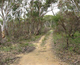 Box Vale Picnic Area - Gold Coast Attractions 4