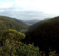 Nattai Gorge Lookout - Gold Coast Attractions