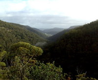 Nattai Gorge Lookout
