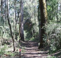 Box Vale Mine Walking Track and Lookout - Gold Coast Attractions