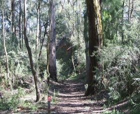 Box Vale Mine Walking Track And Lookout - Gold Coast Attractions 0