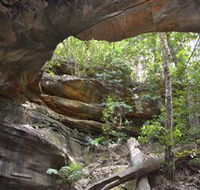 Cave Creek Walking Track - Gold Coast Attractions