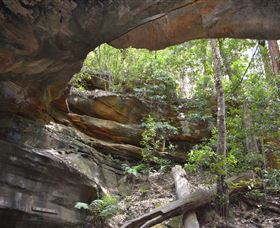 Cave Creek Walking Track - Gold Coast Attractions 0