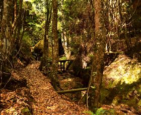 Cave Creek Walking Track - Gold Coast Attractions 2