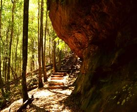 Cave Creek Walking Track - Gold Coast Attractions 1