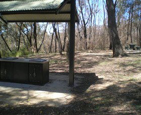 Cave Creek Walking Track - Gold Coast Attractions 4