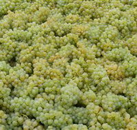 Normanby Wines - Gold Coast Attractions