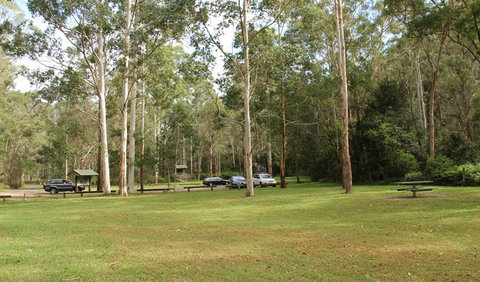 Mill Creek Picnic Area - Gold Coast Attractions 0