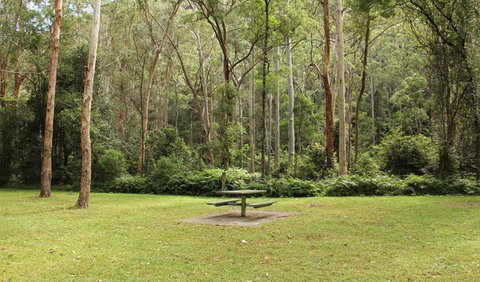 Mill Creek Picnic Area - Gold Coast Attractions 1