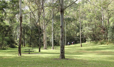 Mill Creek Picnic Area - Gold Coast Attractions 3