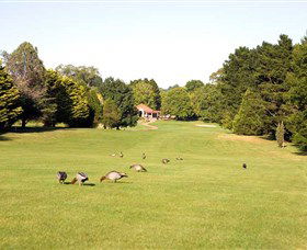 Moss Vale Golf Club - Gold Coast Attractions 2